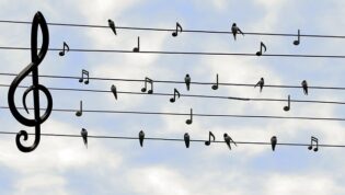 sky with lines like music with birds for notes